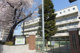 文京区立窪町小学校の画像