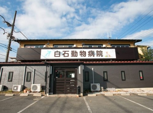 白石動物病院