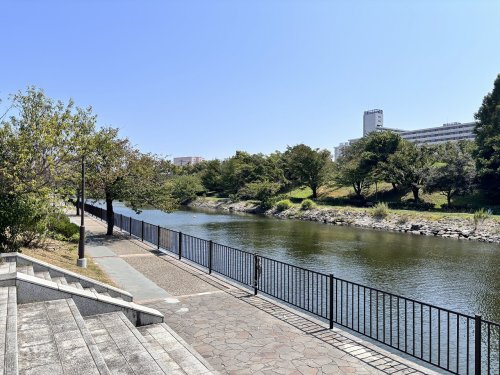 新左近川親水公園