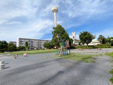 木の公園の画像1
