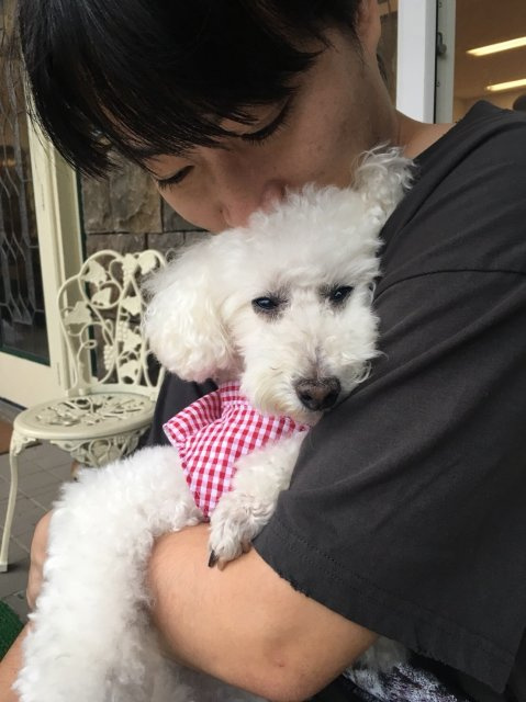 吉永 翼の画像3