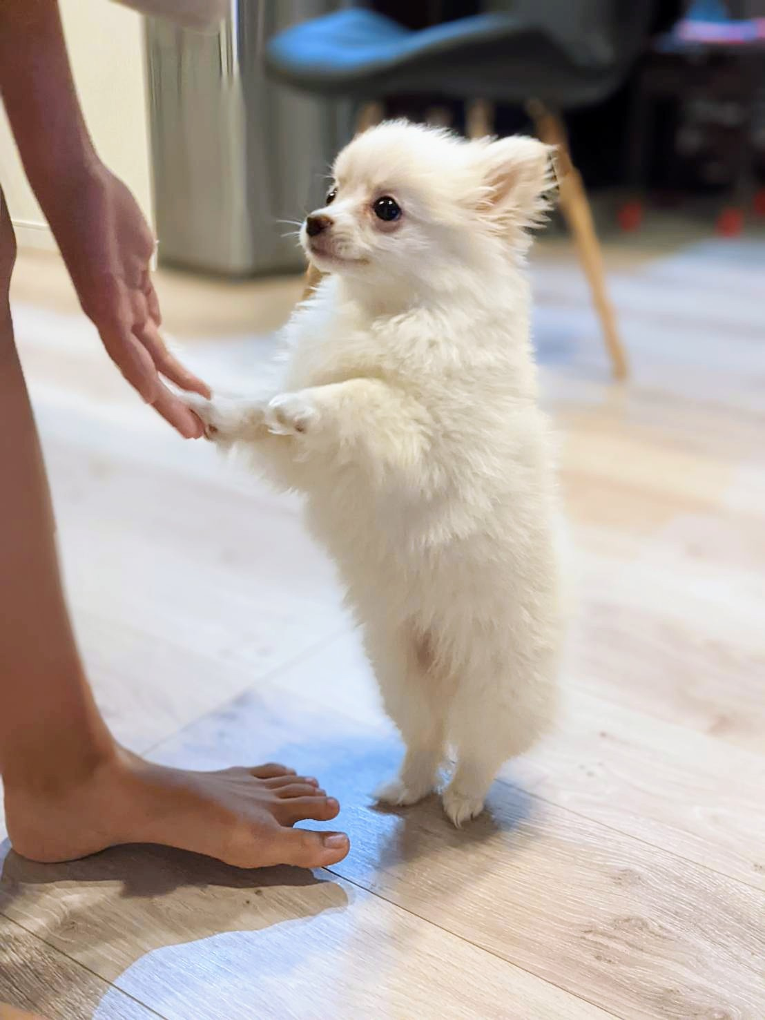 宮本 佳弥の画像2