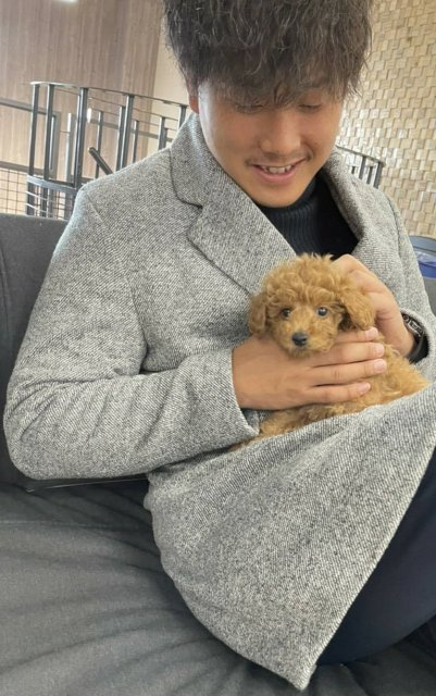 平井 和志の画像2