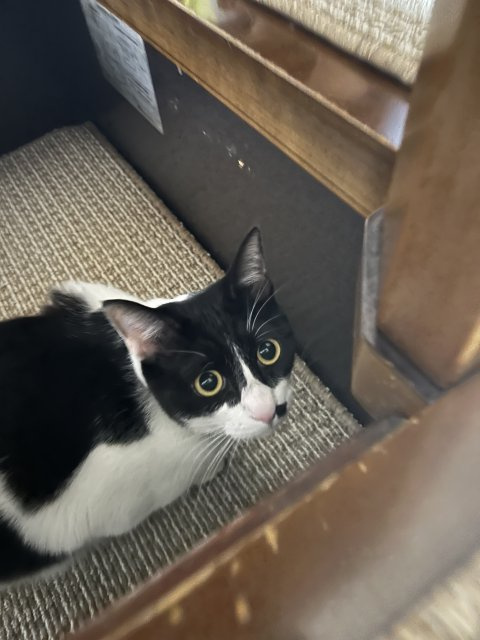 佐々木 功輝の画像2