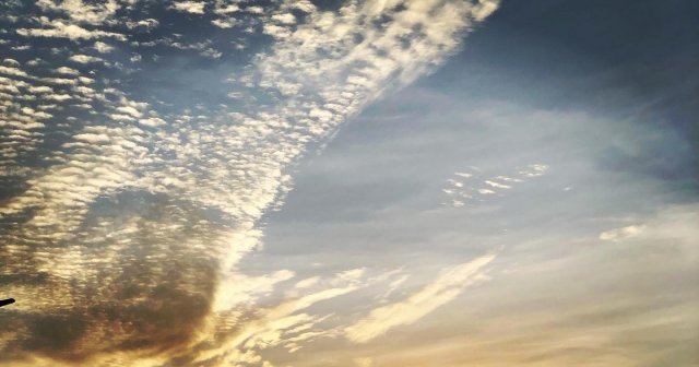 佐々木 功輝の画像3