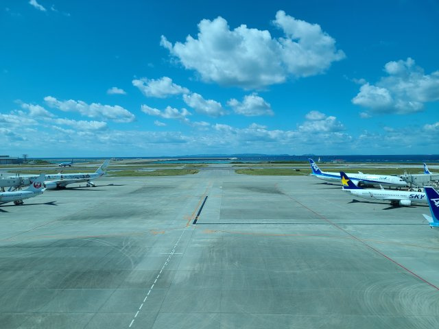 市ヶ谷 和親の画像2