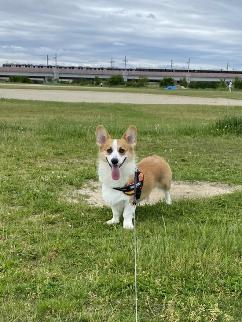 和田 亮平の画像3