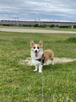 和田 亮平の画像3