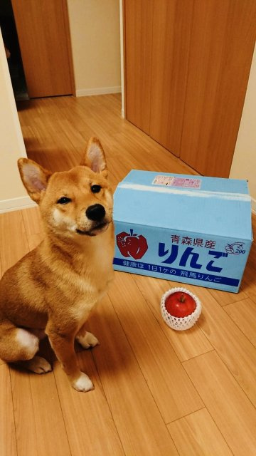 相内 佳介の画像3