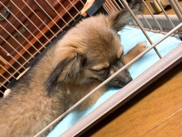 岩本 遥菜の画像2