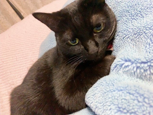 岩本 遥菜の画像3