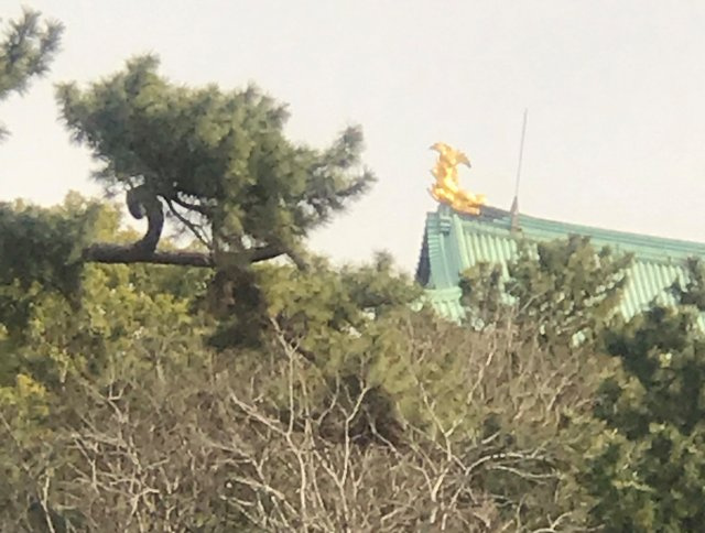 伊藤 綾の画像3