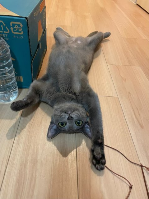 佐伯 莉穂の画像2