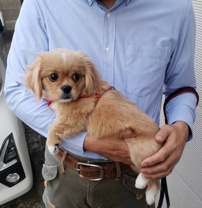 板谷(いただに) 隆史の画像2