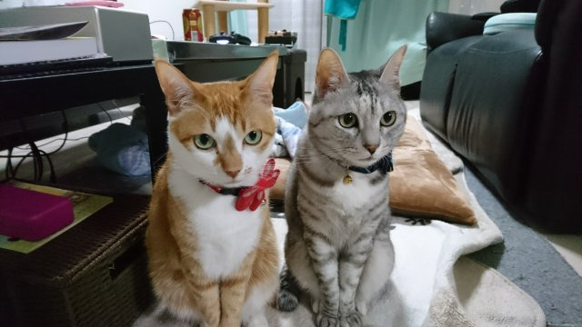 二見敬祐の画像