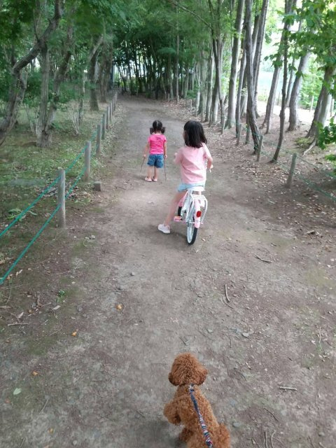 佐佐木 省吾の画像2