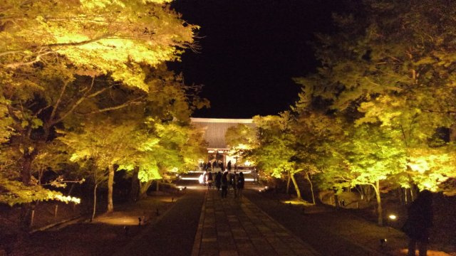 松尾 承信の画像1