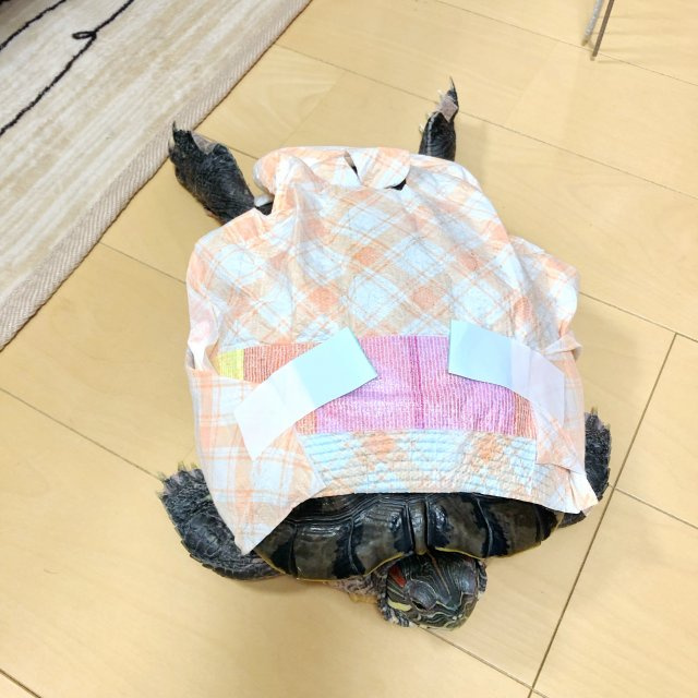原 徹の画像3