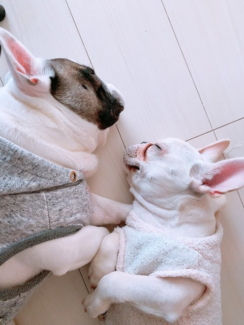 靏久課長の画像