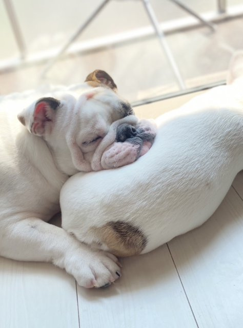 ＴS課課長の画像