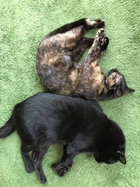 高槻達也の画像