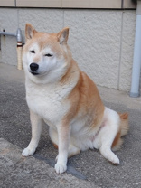 藤村 良裕の画像3