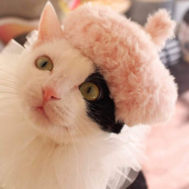 ねこ店長 じよんの画像1