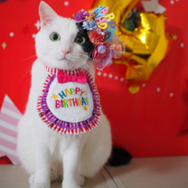 ねこ店長 じよんの画像3