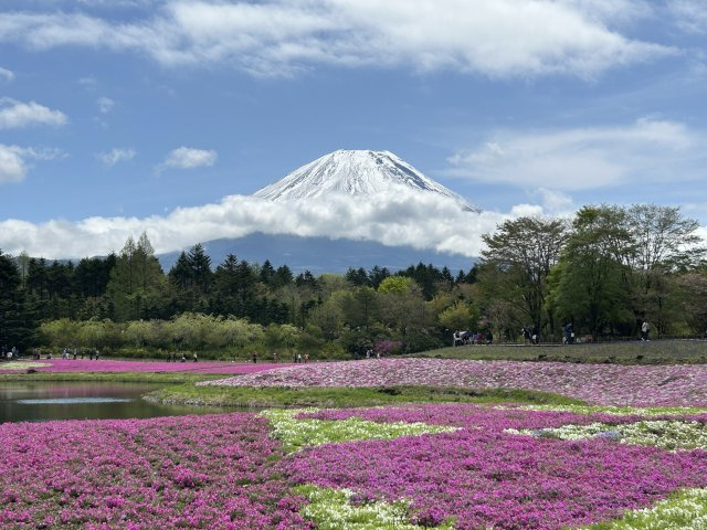中 島の画像2
