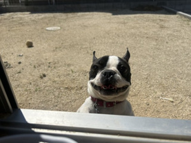 古川 　の画像3