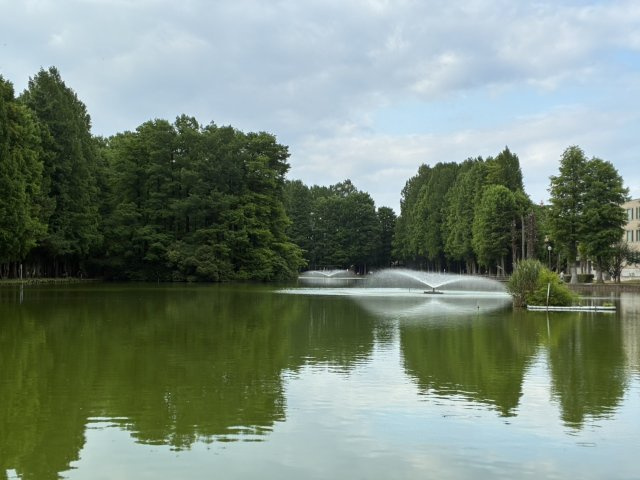 中村 　の画像3