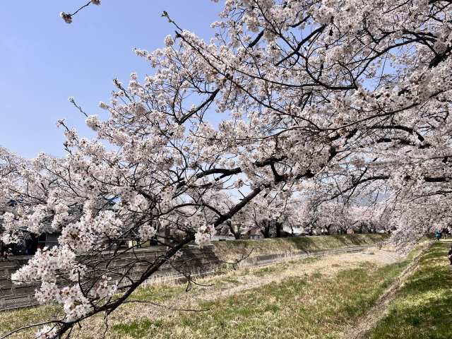 山岡 としみの画像1
