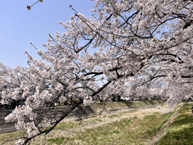 山岡 としみの画像1