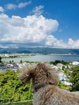 伊藤 としみの画像2