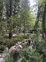 山岡 としみの画像3