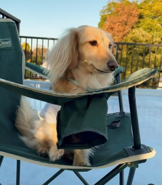 樋田 誠一の画像2