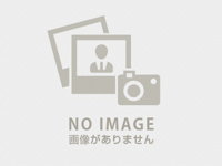 新家谷 和哉の画像