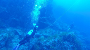 鵜木 義晶の画像3