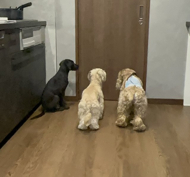 【リーダー】　福本 　の画像2