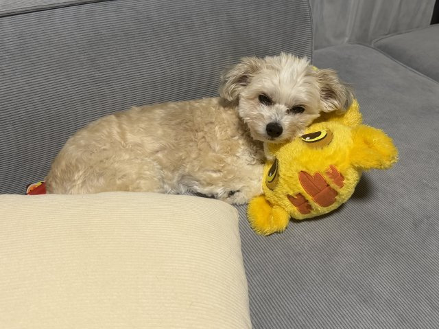 【リーダー】　福本 　の画像3