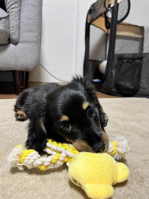 乗松 聖也の画像3