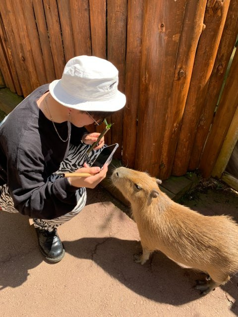 福井 太陽の画像3