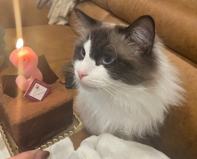 小島 里奈の画像2