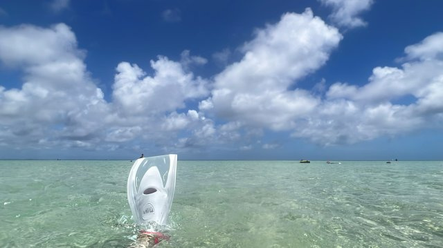 佐賀 裕梨香の画像2