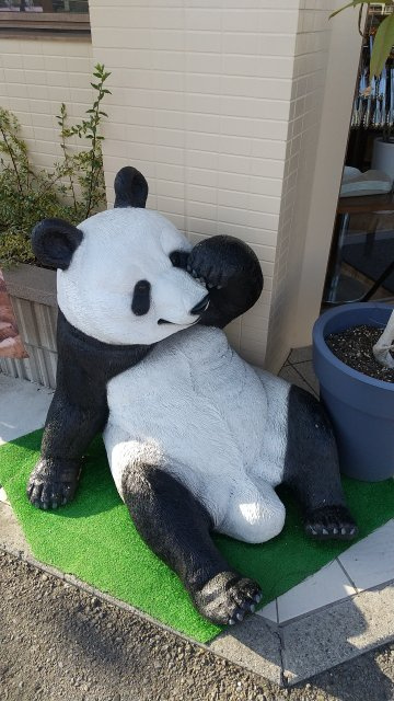 石田 繭美の画像3