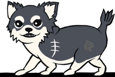 チワワ社長エースの画像