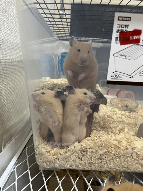 齋藤 高太の画像2