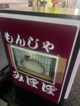 スタッフ 篠笥の画像2