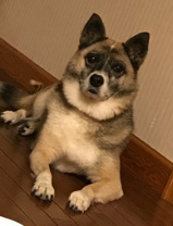 峠本 ちはるの画像1
