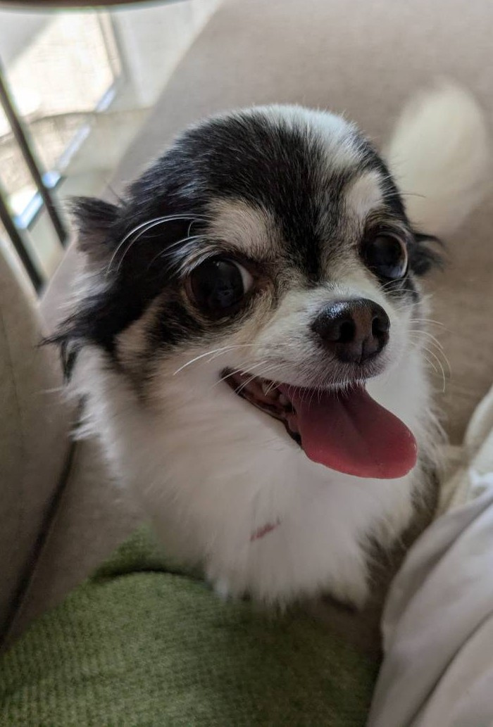 堀川 紗耶の画像3